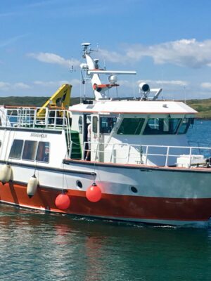 Boat Trip Cape Clear Island - Image 5