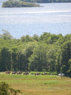 Horse riding in Killarney National Park