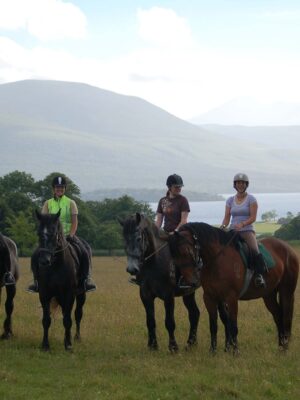 Horse riding in Killarney National Park - Image 3
