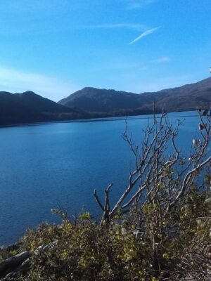 Killarney Guided Walks - Image 3